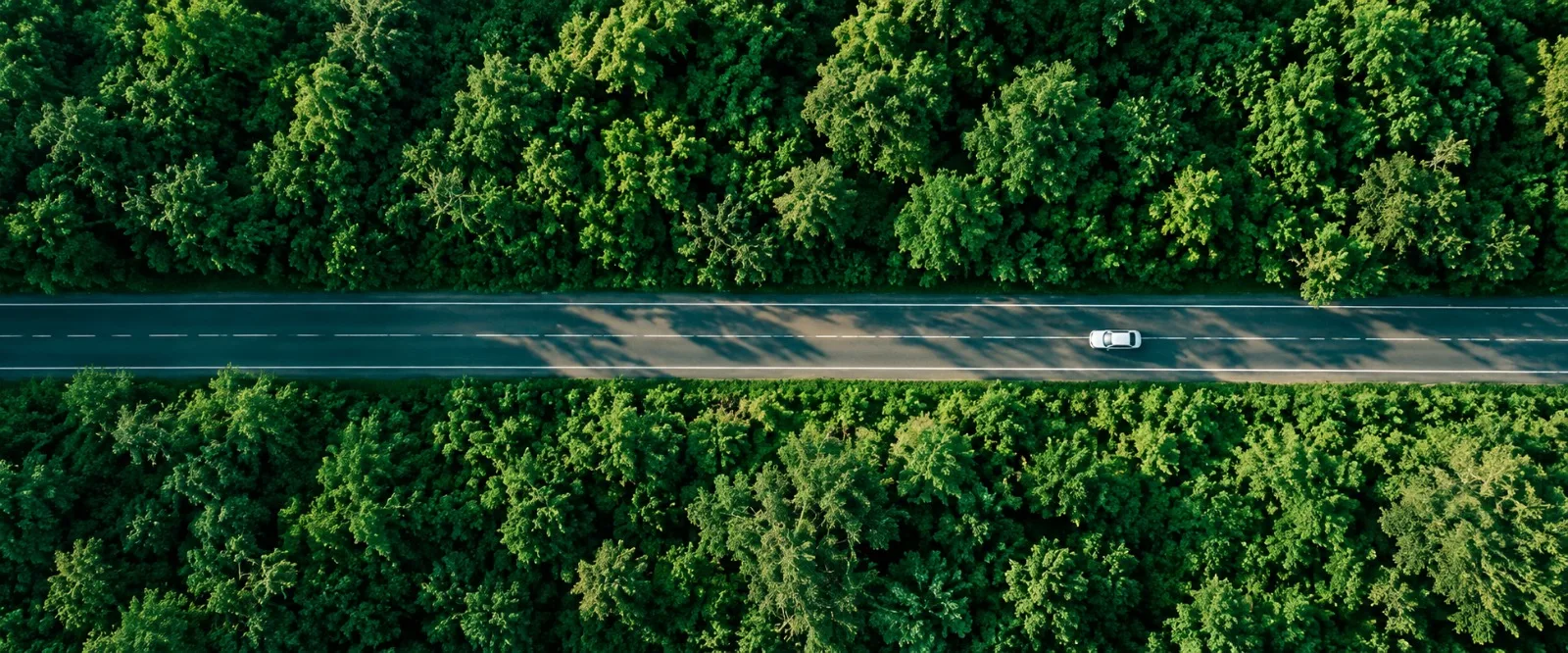 Aerial view of a car driving down a road cutting through dense forest.