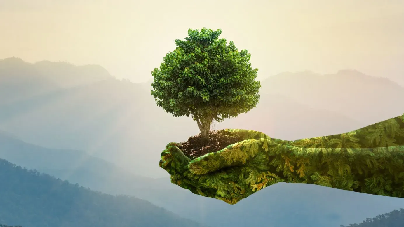 eco-friendly practices